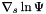 $\nabla_s\ln\Psi$